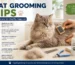 Cat grooming tips for Bangladesh homes with brushing, nail trimming, bathing, ear care, and dental care advice