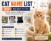 Cat name list with 350+ best ideas for male, female, Bangla, black and Persian cats
