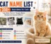 Cat name list with 350+ best ideas for male, female, Bangla, black and Persian cats