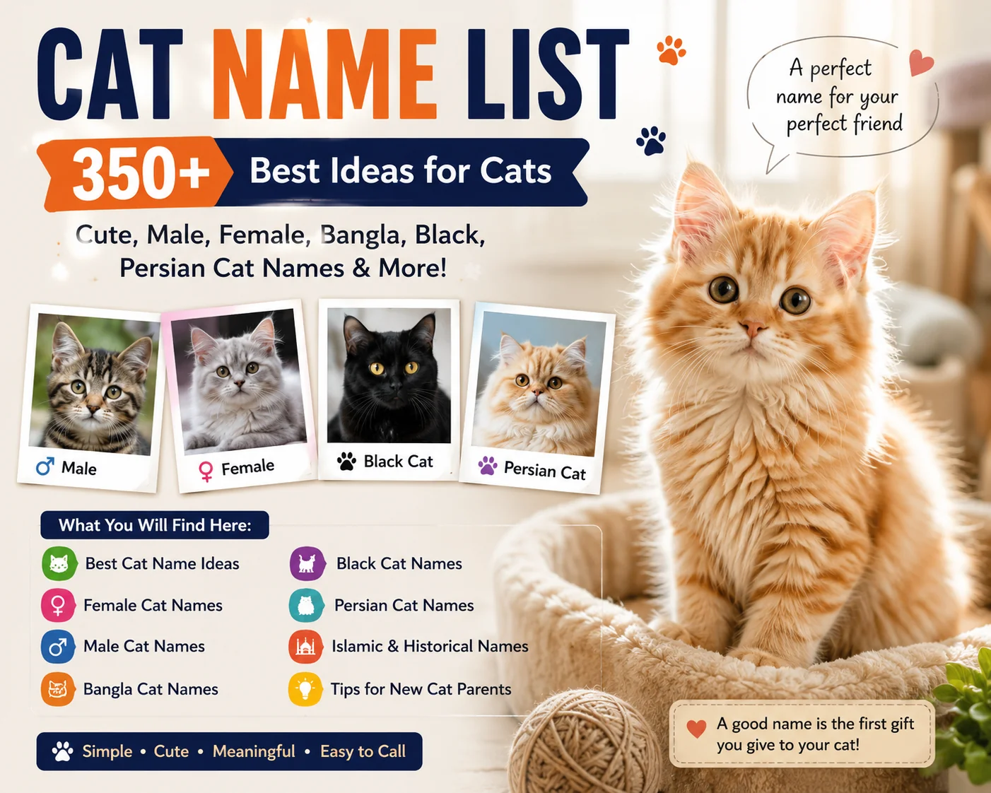 Cat name list with 350+ best ideas for male, female, Bangla, black and Persian cats