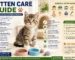 Kitten care guide for new cat owners in Bangladesh with feeding, litter training, grooming, vet care, and safety tips