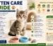 Kitten care guide for new cat owners in Bangladesh with feeding, litter training, grooming, vet care, and safety tips