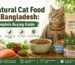 Natural cat food in Bangladesh with dry and wet food options