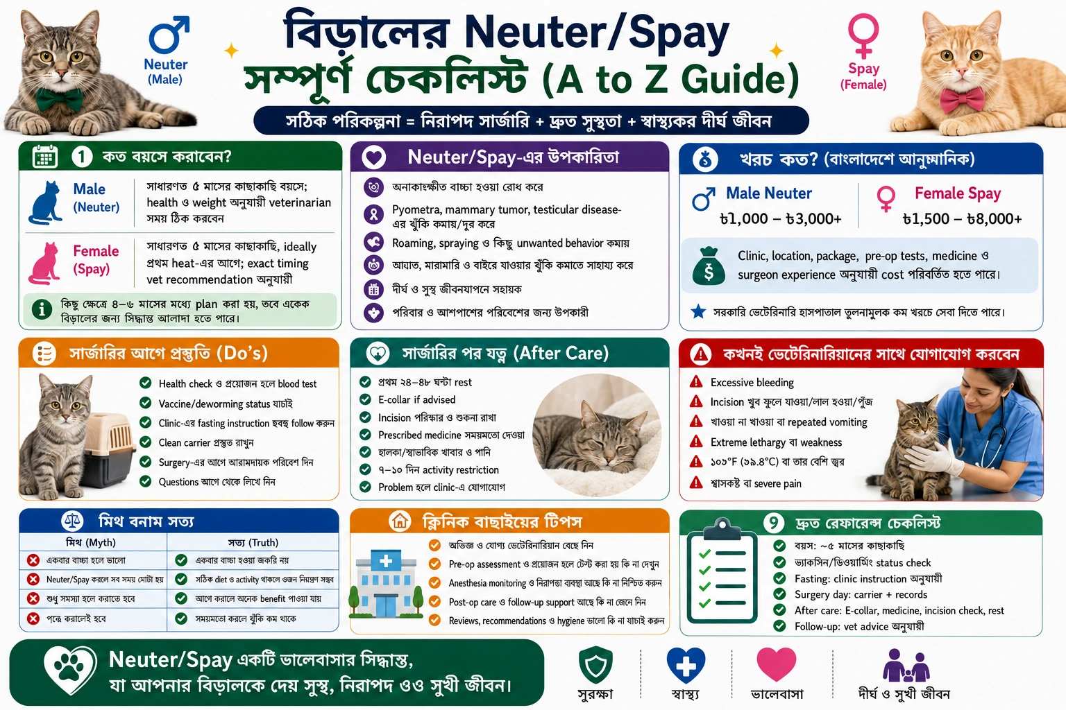 Cat neutering in Bangladesh complete checklist for surgery preparation and after care
