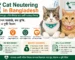 Cat Neutering in Bangladesh – male cat neuter, female cat spay, cost and after care guide