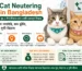 Cat Neutering in Bangladesh – male cat neuter, female cat spay, cost and after care guide