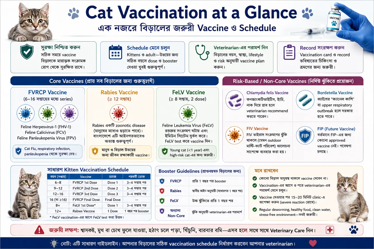 Cat vaccination at a glance in Bangladesh showing FVRCP, Rabies, FeLV and risk-based vaccines