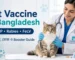 Cat Vaccine in Bangladesh – FVRCP, Rabies ও FeLV vaccination guide
