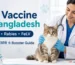 Cat Vaccine in Bangladesh – FVRCP, Rabies ও FeLV vaccination guide