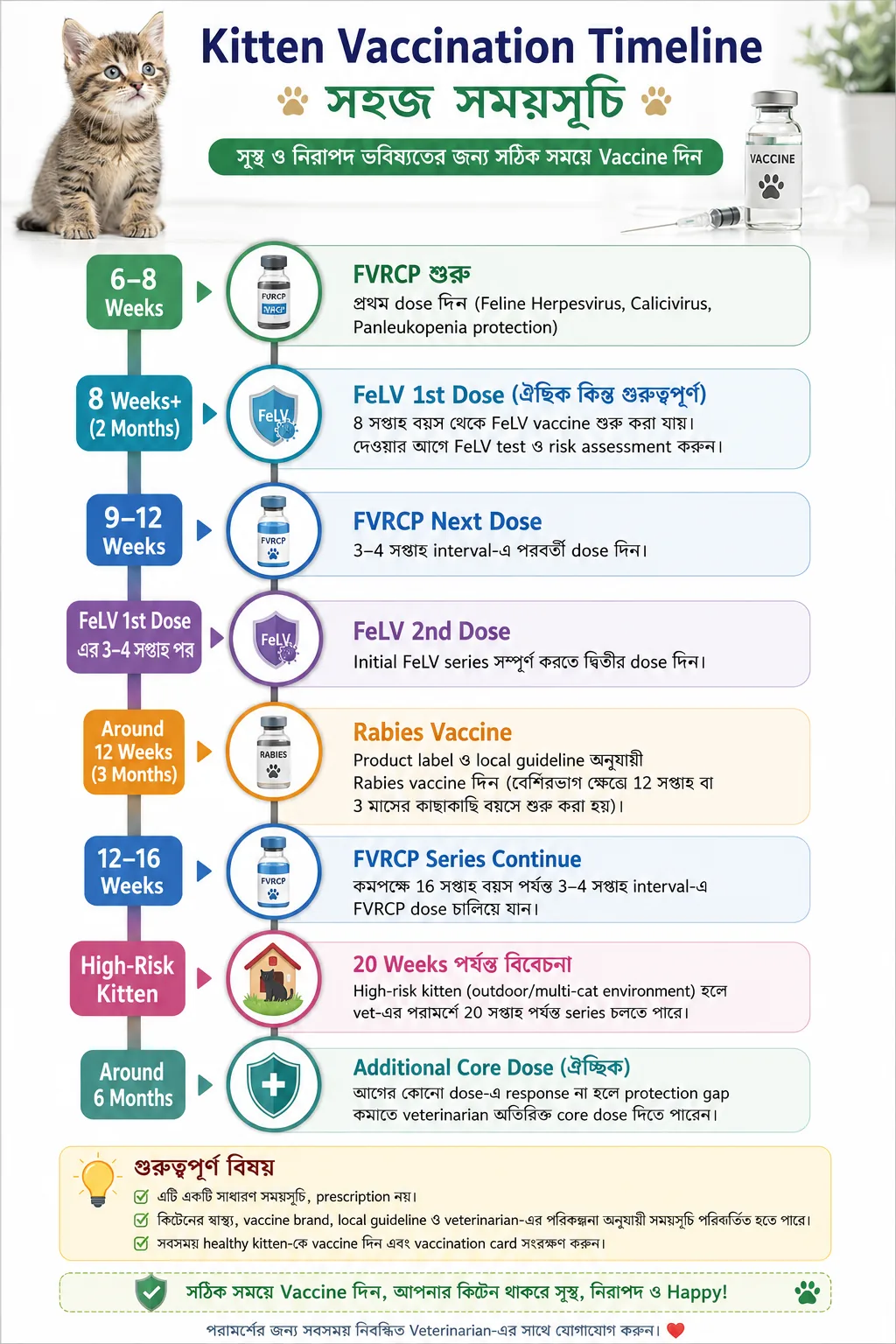 Kitten vaccination timeline in Bangladesh showing FVRCP, Rabies and FeLV schedule