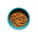Cat food essentials