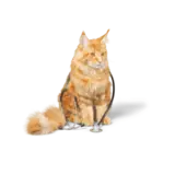 Cat shampoo, view 2