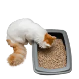 Clumping cat litter, view 3