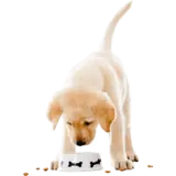 Puppy food, view 3